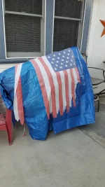 20201129_160054.webp