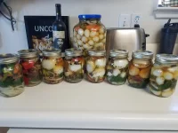 20201026_135146.webp