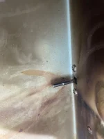 pit boss temp probe.webp