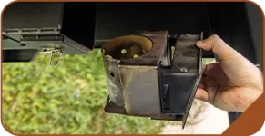 pellet-image-6.webp
