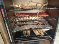IMG_20230917_180154147.webp