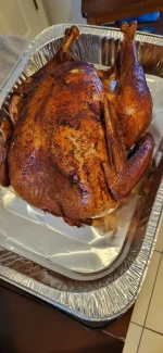 turk.webp
