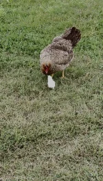IMG_4830.webp