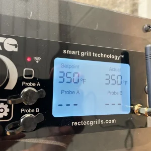 RecTec at 350degs.jpg