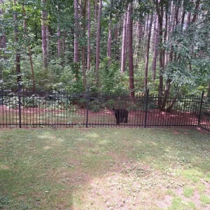 20230708_121405.jpg
