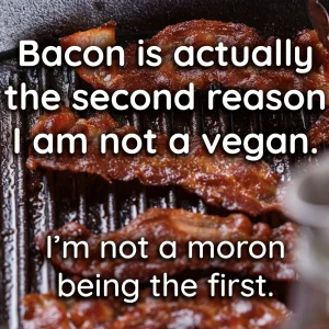 Bacon, the 2nd Reason.webp