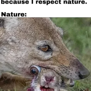 vegans Respect Nature.webp