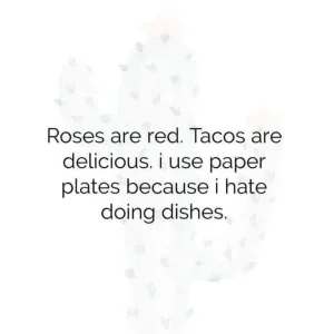 I Use Paper Plates.webp