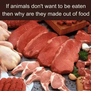 Animals are Food.webp
