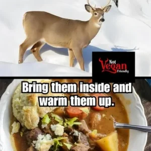 Cold.webp