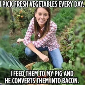Bacon.webp