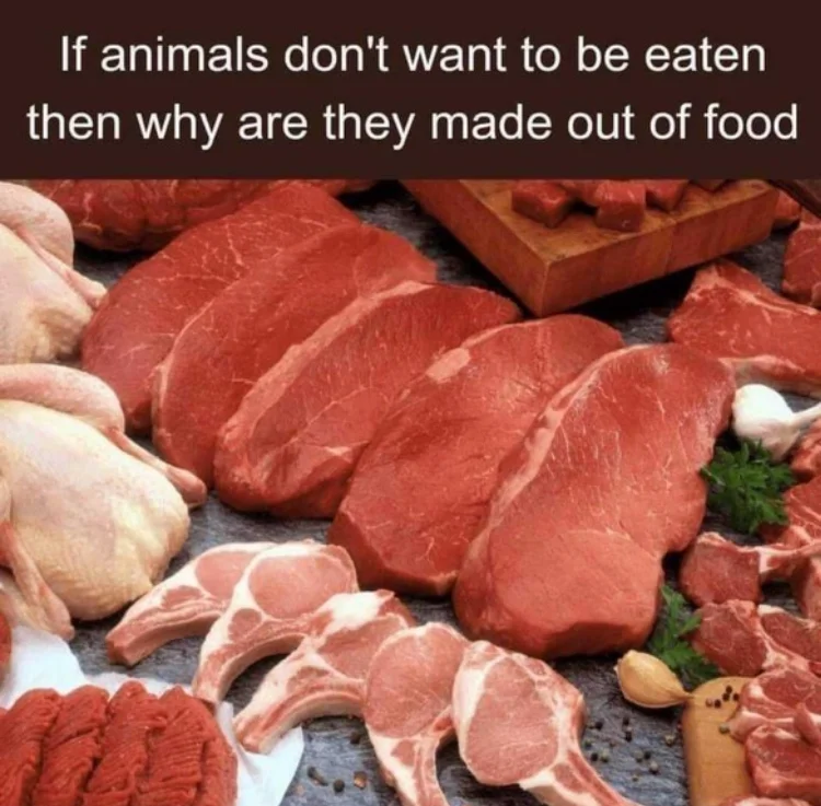 Animals are Food.webp
