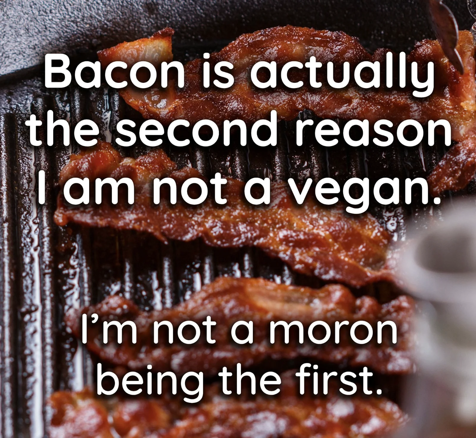 Bacon, the 2nd Reason.webp
