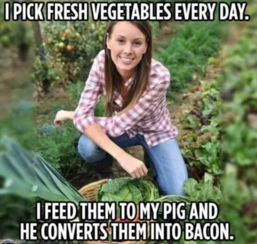 Bacon.webp