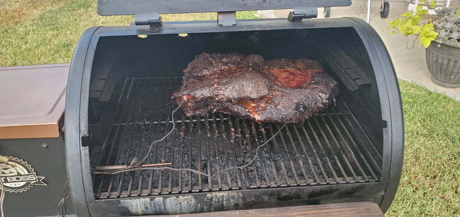 Brisket 9 250809 18.webp