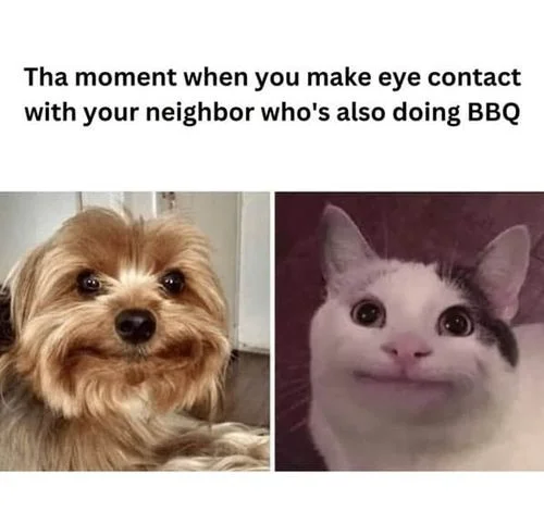 grilling-memes-22-20240828.webp