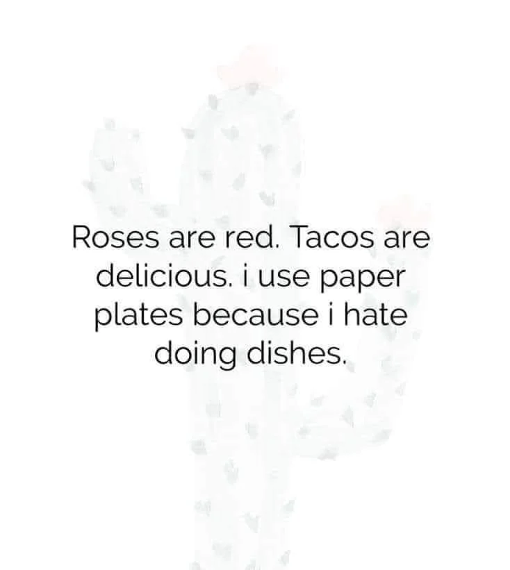 I Use Paper Plates.webp