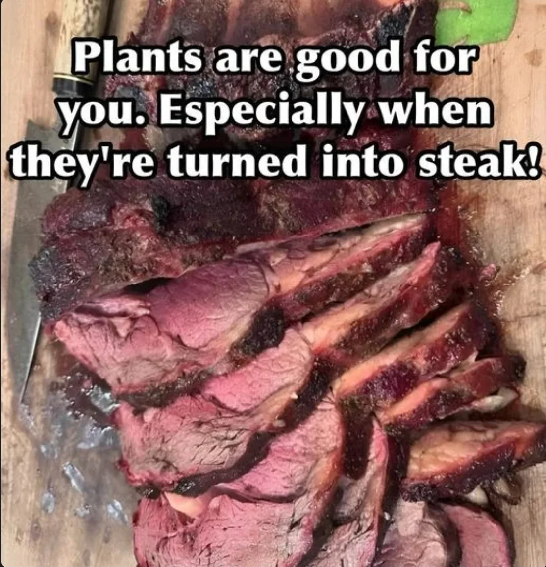 Plants are Good for You.webp